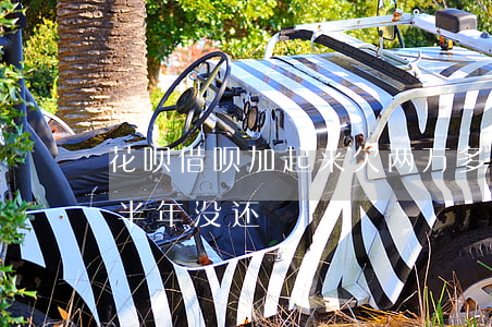 花呗借呗加起来欠两万多没还(花呗借了两千半年没还)