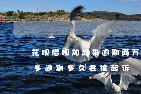 花呗借呗加起来逾期两万(花呗借呗欠款两万多逾期多久会被起诉)