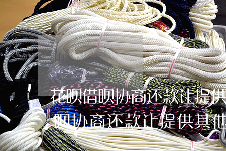 花呗借呗协商还款让提供其他凭证-花呗借呗协商还款让提供其他凭证怎么办