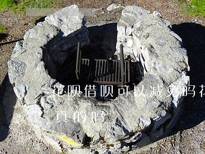 花呗借呗可以减免吗(花呗借呗可以减免吗是真的吗)