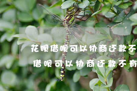 花呗借呗可以协商还款不有人成功吗-花呗借呗可以协商还款不有人成功吗安全吗