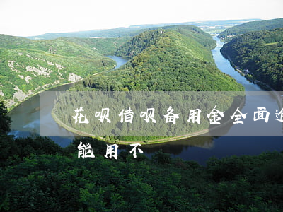 花呗借呗备用金全面逾期(借呗逾期备用金还能用不)