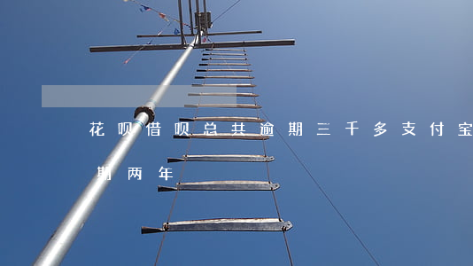 花呗借呗总共逾期三千多(支付宝借呗三千逾期两年)