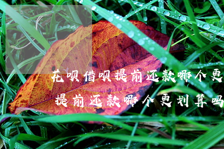 花呗借呗提前还款哪个更划算吗-花呗借呗提前还款哪个更划算吗安全吗