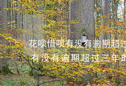 花呗借呗有没有逾期超过三年的-花呗借呗有没有逾期超过三年的人