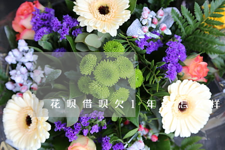 花呗借呗欠1年会怎么样