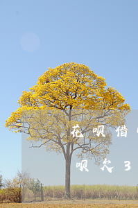 花呗借呗欠3万寄了律师函到老家-花呗借呗欠3万寄了律师函到老家怎么办