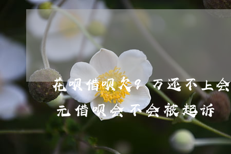 花呗借呗欠9万还不上会被起诉吗(欠八千多元借呗会不会被起诉)