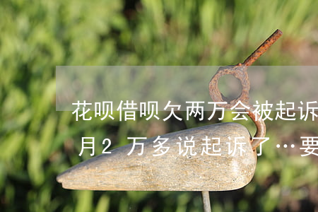 花呗借呗欠两万会被起诉拘留嘛(花呗欠几个月2万多,说起诉了…要坐牢吗?)