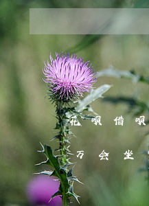 花呗借呗欠了13万会坐牢吗(借呗逾期12万会坐牢吗)
