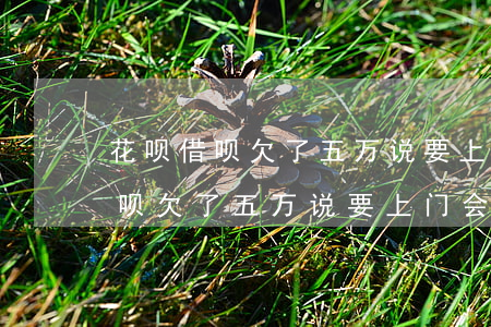 花呗借呗欠了五万说要上门会来吗-花呗借呗欠了五万说要上门会来吗是真的吗
