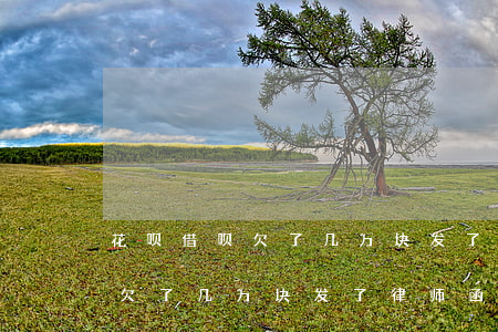 花呗借呗欠了几万块发了律师函-花呗借呗欠了几万块发了律师函怎么办
