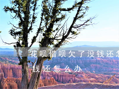 花呗借呗欠了没钱还怎么办(花呗借呗欠了没钱还怎么办)
