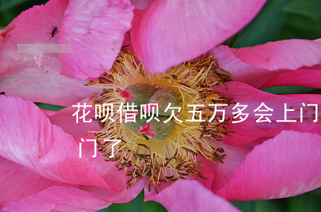 花呗借呗欠五万多会上门吗(借呗逾期4万,上门了)