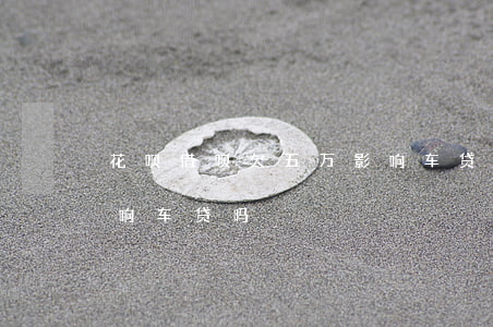 花呗借呗欠五万影响车贷吗(借呗借了6万影响车贷吗)