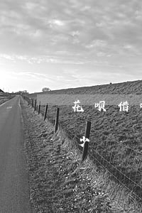 花呗借呗欠八万多(花呗借八万元每个月还多少)