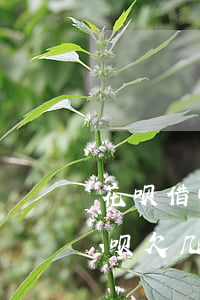 花呗借呗欠几千块半年了说要起诉-花呗借呗欠几千块半年了说要起诉是真的吗
