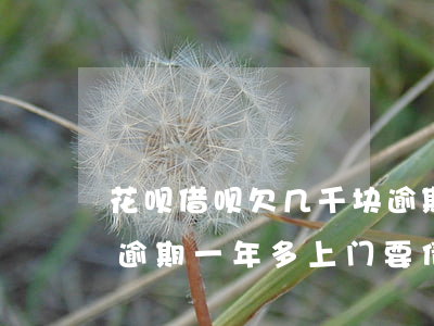 花呗借呗欠几千块逾期了说要上门(蚂蚁借呗逾期一年多,上门要债是真的吗)
