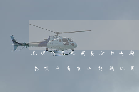 花呗借呗网商贷全部逾期(其它网贷逾期借呗花呗网商贷还能循环用吗)