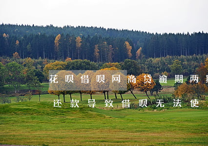 花呗借呗网商贷逾期两期了(网商贷逾期3天还款导致借呗无法使用)