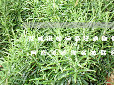 花呗借呗网商贷逾期多久会被起诉(花呗借呗网商贷逾期会被联合诉讼吗)
