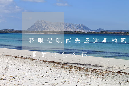 花呗借呗能先还逾期的吗(花呗借呗能先还逾期的吗怎么还)