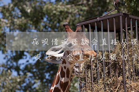 花呗借呗还款会直接从银行卡扣吗-花呗借呗还款会直接从银行卡扣吗安全吗