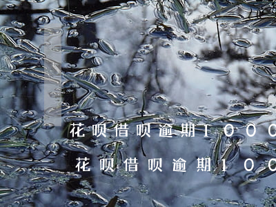 花呗借呗逾期10000元被起诉了咋办-花呗借呗逾期10000元被起诉了咋办呢