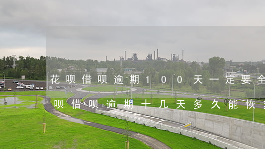 花呗借呗逾期100天一定要全款还吗-花呗借呗逾期十几天,多久能恢复使用