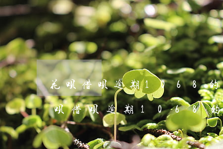 花呗借呗逾期1068的短信是真的吗-花呗借呗逾期1068的短信是真的吗吗