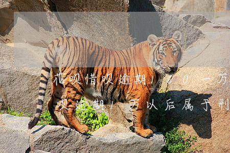 花呗借呗逾期160一万多会怎样-花呗借呗逾期1万以后属于刑事案件吗
