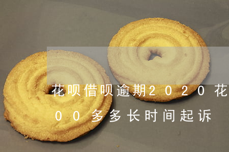 花呗借呗逾期2020(花呗借呗逾期20000多多长时间起诉)