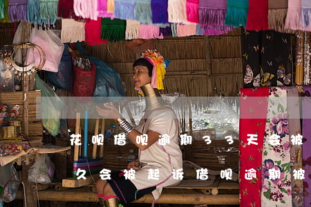 花呗借呗逾期33天会被起诉吗(花呗逾期多久会被起诉?借呗逾期被起诉怎么办)