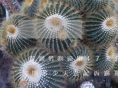 花呗借呗逾期47天会被起诉吗(花呗借呗逾期多少天会起诉逾期9天1万多元)