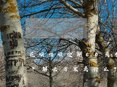 花呗借呗逾期60天未还，是否会拨打通讯录？解决方案是什么？