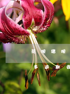 花呗借呗逾期三万多久会被起诉(花借呗3万多逾期会起诉)