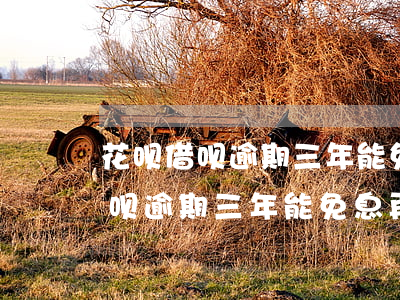 花呗借呗逾期三年能免息再分期吗-花呗借呗逾期三年能免息再分期吗是真的吗