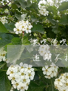 花呗借呗逾期不接电话会怎么样-花呗借呗逾期不接电话会怎么样吗