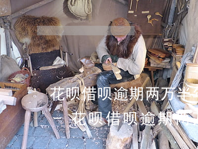 花呗借呗逾期两万半年了说要起诉是真的吗-花呗借呗逾期两万半年了说要起诉是真的吗吗