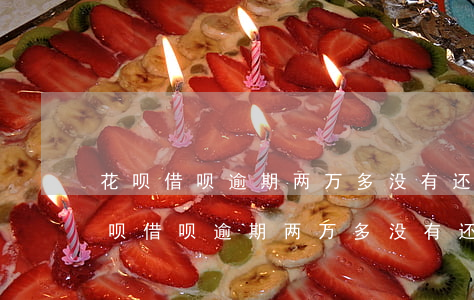 花呗借呗逾期两万多没有还会不会坐牢-花呗借呗逾期两万多没有还会不会坐牢了