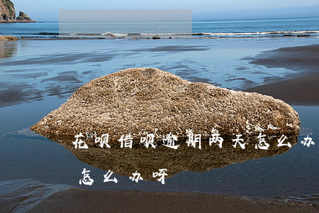 花呗借呗逾期两天怎么办(借呗逾期两个月了怎么办呀)