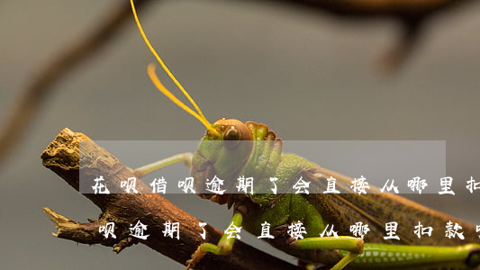 花呗借呗逾期了会直接从哪里扣款-花呗借呗逾期了会直接从哪里扣款呢