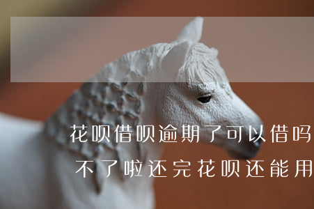 花呗借呗逾期了可以借吗(花呗逾期了借呗用不了啦,还完花呗还能用吗)