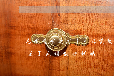 花呗借呗逾期了可以贷款吗(花呗借呗逾期了还了,花呗能借钱吗)