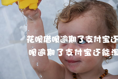 花呗借呗逾期了支付宝还能淘宝么-花呗借呗逾期了支付宝还能淘宝么吗