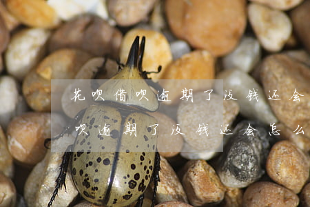 花呗借呗逾期了没钱还会怎么处理-花呗借呗逾期了没钱还会怎么处理呢