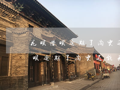 花呗借呗逾期了淘宝还能买东西吗-花呗借呗逾期了淘宝还能买东西吗安全吗