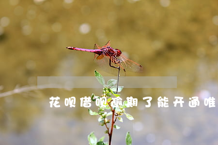花呗借呗逾期了能开通唯品花吗-