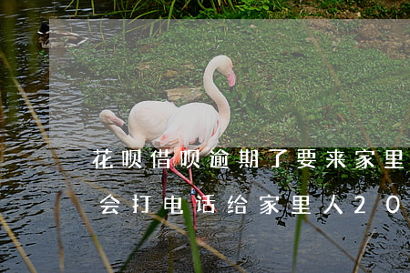 花呗借呗逾期了要来家里(花呗借呗逾期多久会打电话给家里人?2020年)