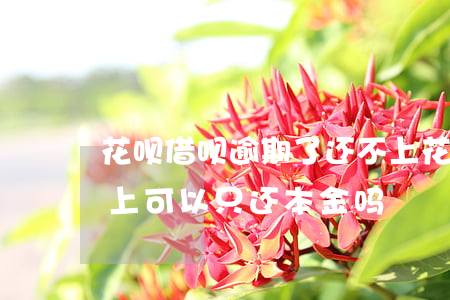 花呗借呗逾期了还不上(花呗借呗逾期了还不上可以只还本金吗?)